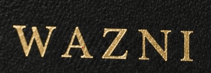 Wazni logo